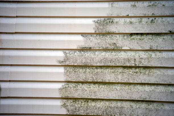 Best Foreclosure Cleanout  in Dauphin, PA