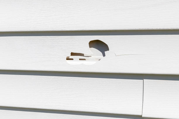 Best Garage Cleanout  in Dauphin, PA